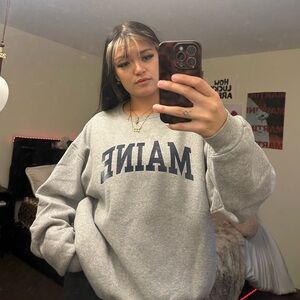 Fruit of the Loom Gray Women's Crew Neck Sweater